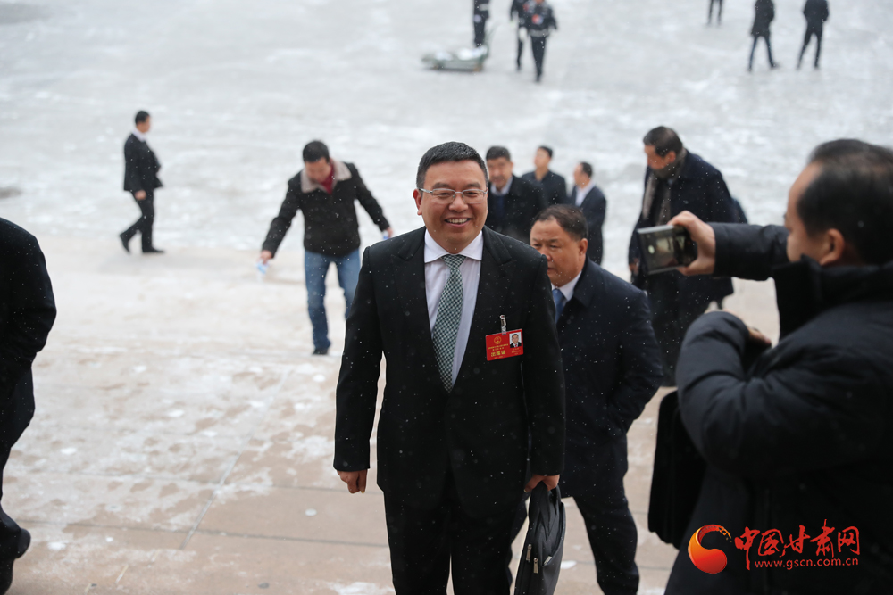 【聚焦2020甘肅兩會】“兩會”代表、委員風(fēng)采掠影（組圖）