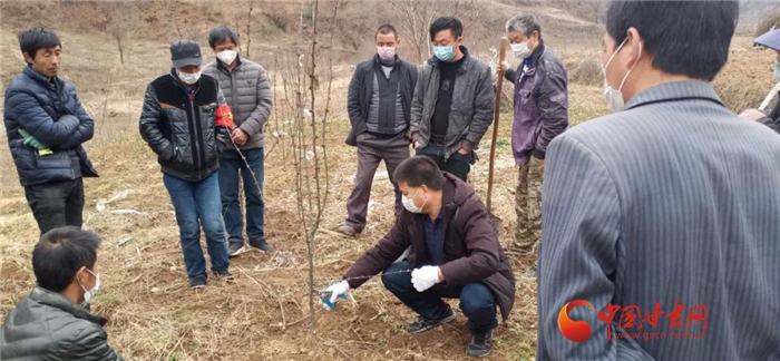 【甘肅全民戰(zhàn)“疫”】隴南徽縣：花椒田里培訓(xùn)忙，戰(zhàn)疫春耕兩不誤