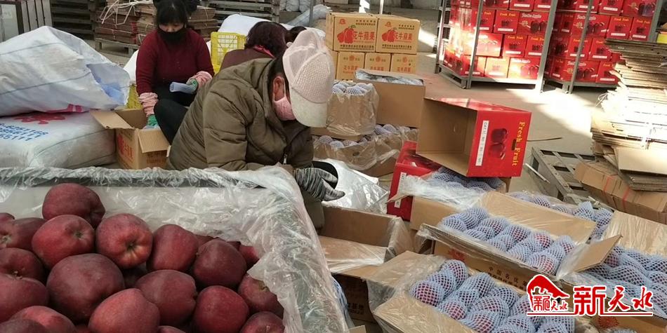 天水“花?！弊罱悬c(diǎn)“?！?>
        </a><em>天水“花?！弊罱悬c(diǎn)“牛”</em></li>
    <li><a  target=