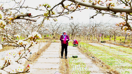 持續(xù)鞏固脫貧成果 確保如期打贏脫貧攻堅(jiān)戰(zhàn)——訪(fǎng)酒泉市委書(shū)記吳仰東