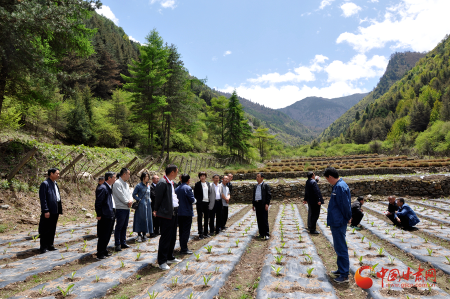 白龍江博峪河保護(hù)局開展產(chǎn)業(yè)發(fā)展、義務(wù)勞動成果現(xiàn)場觀摩交流活動