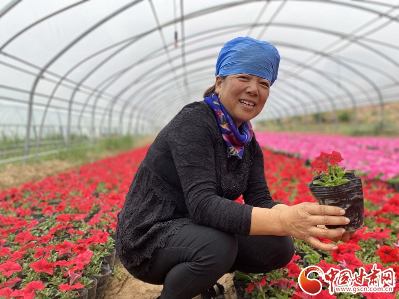 【甘肅省決戰(zhàn)決勝脫貧攻堅】三產(chǎn)融合 皋蘭縣這家合作社助農脫貧走出新路子