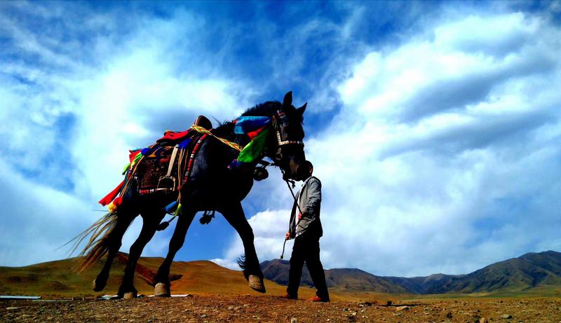 好消息！天祝被命名為“中國高原走馬之鄉(xiāng)”
