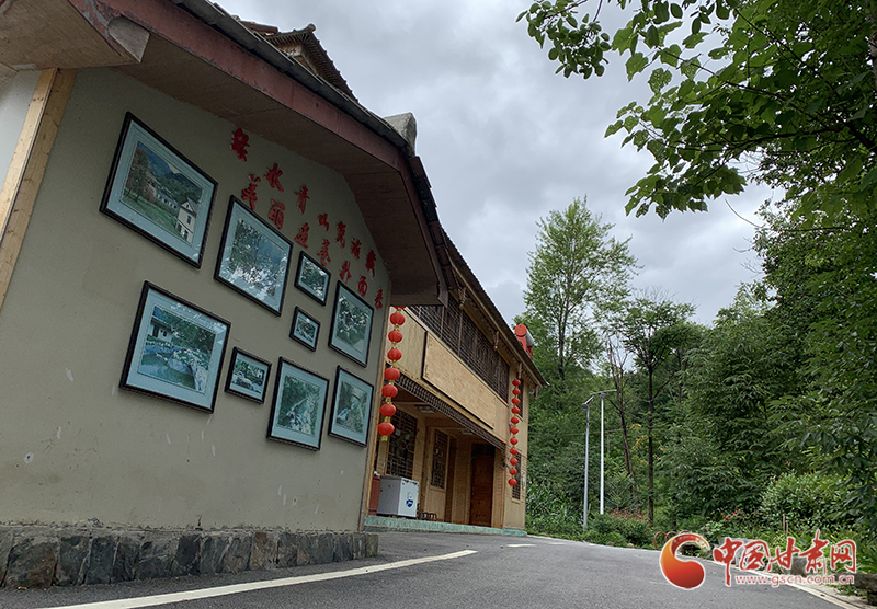 【走向我們的小康生活】村美、業(yè)興、民富……康縣何家莊描繪鄉(xiāng)村振興新畫卷（圖）