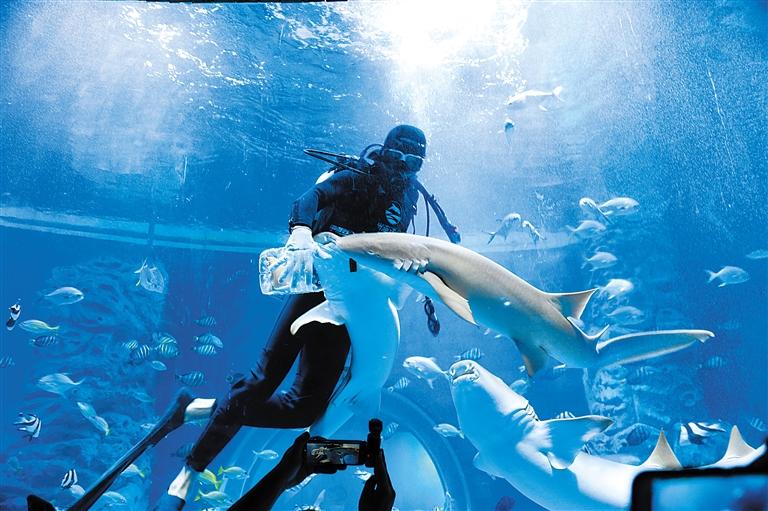 蘭州海洋公園 金昌火星1號(hào)基地 這個(gè)暑假我們“上天入?！?>
        </a><em>蘭州海洋公園 金昌火星1號(hào)基地 這個(gè)暑假我們“上天入?！?/em></li>
    <li><a  target=