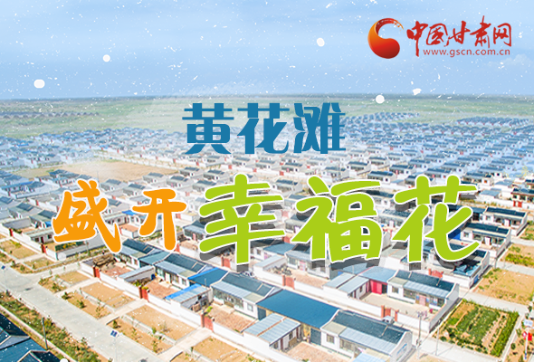 【跟著總書(shū)記看甘肅】長(zhǎng)圖|武威黃花灘盛開(kāi)幸福花 