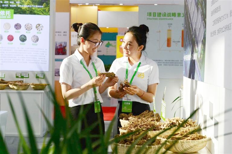 定西，從“千年藥鄉(xiāng)”邁向“中國(guó)藥都”