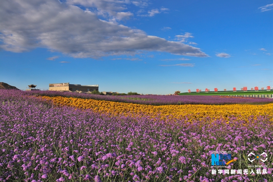 【“飛閱”中國(guó)】鳳凰花?！罢钩帷钡は伎?>
        </a><em>【“飛閱”中國(guó)】鳳凰花?！罢钩帷钡は伎?/em></li>
    <li><a  target=