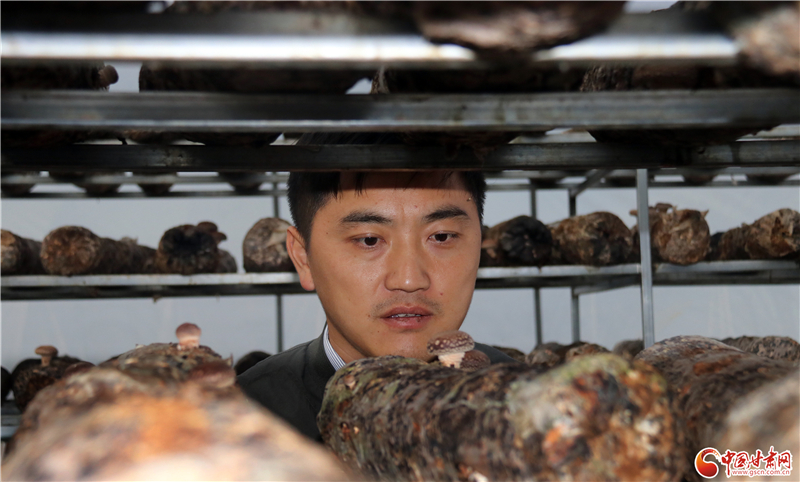 110年！何家溝村終于有了集體經(jīng)濟(jì)——中建二局黨建結(jié)對(duì)幫扶成效顯著