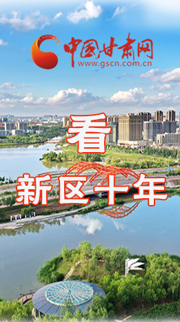 圖解|崛起！新區(qū)十年