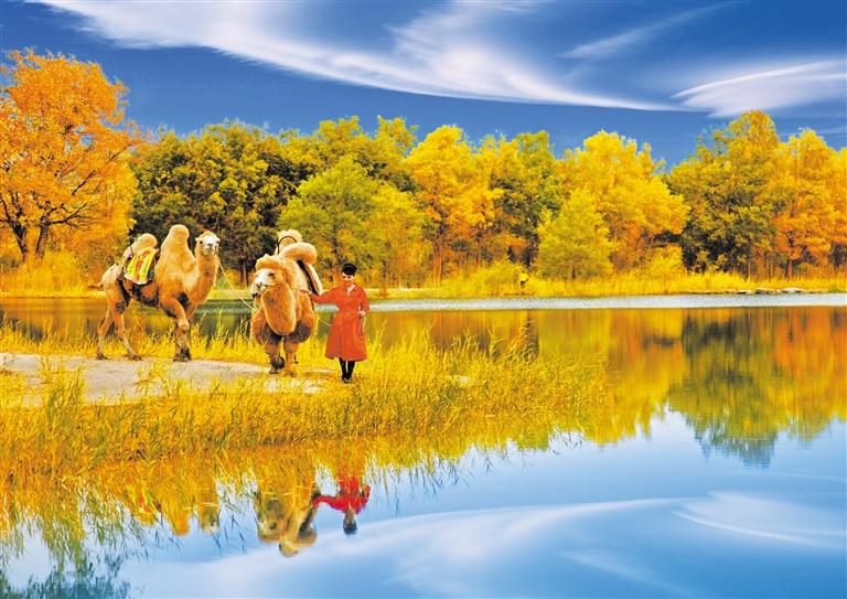 國(guó)慶長(zhǎng)假，去金塔遇見(jiàn)最美胡楊