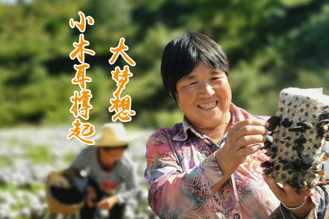 海報丨他們，乘“豐”破浪！