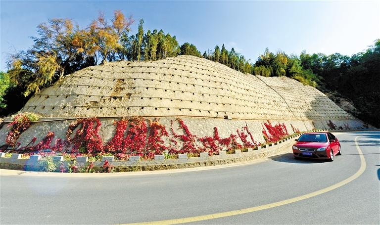 近90度陡坡上種樹(shù)！蘭州南北兩山綠化出新招