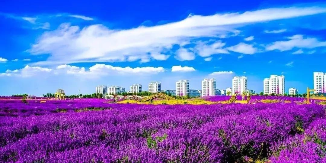 喜訊！金昌蟬聯(lián)全國文明城市