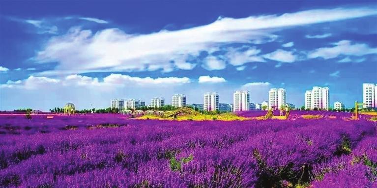 “三連冠”！金昌蟬聯(lián)全國文明城市