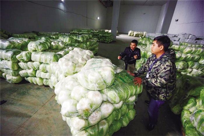 蘭州市已儲(chǔ)備1萬(wàn)噸冬春蔬菜以耐貯存、易周轉(zhuǎn)品種為主
