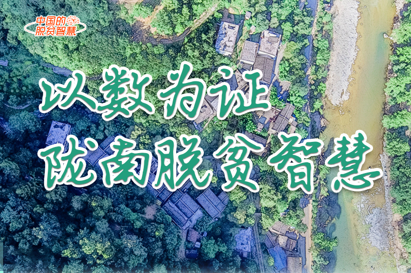 【中國的脫貧智慧】以數(shù)為證！隴南脫貧智慧來了！