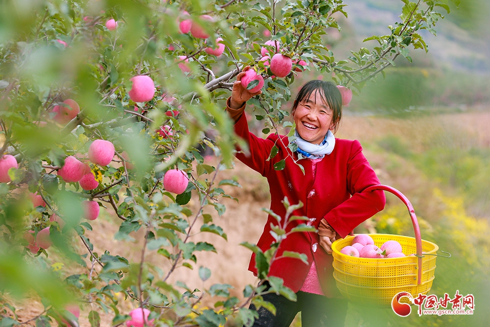 【中國(guó)的脫貧智慧】平?jīng)觯褐巍胺地毞谰€(xiàn)” 機(jī)制創(chuàng)新是關(guān)鍵（圖）