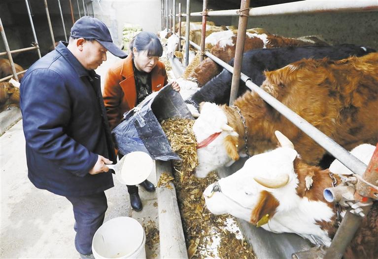 我和我的家鄉(xiāng)丨定西臨洮縣黨家墩村：“牛”產(chǎn)業(yè)帶來“?！比兆?>
        </a><em>我和我的家鄉(xiāng)丨定西臨洮縣黨家墩村：“?！碑a(chǎn)業(yè)帶來“?！比兆?/em></li>
    <li><a  target=