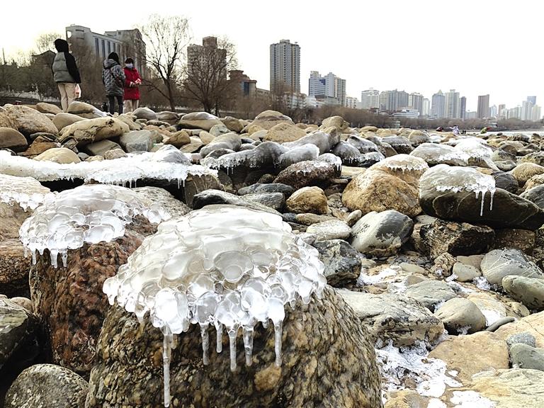 蘭州：水母上河灘？