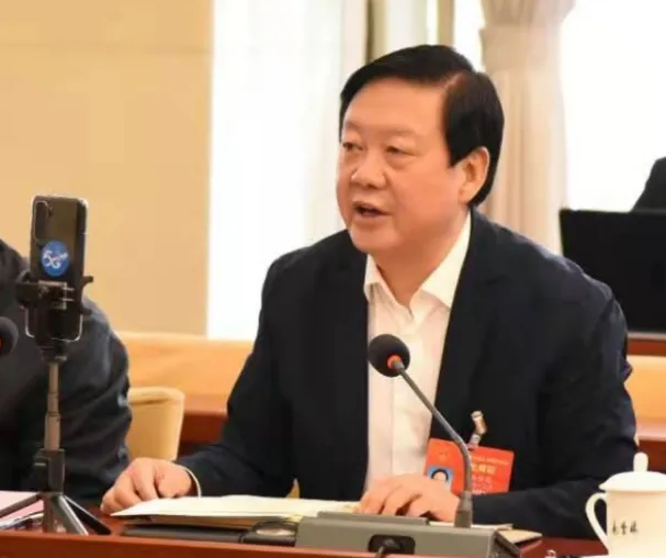 【聚焦2021全國兩會】全國人大代表、市委書記楊維俊接受中國日報記者采訪