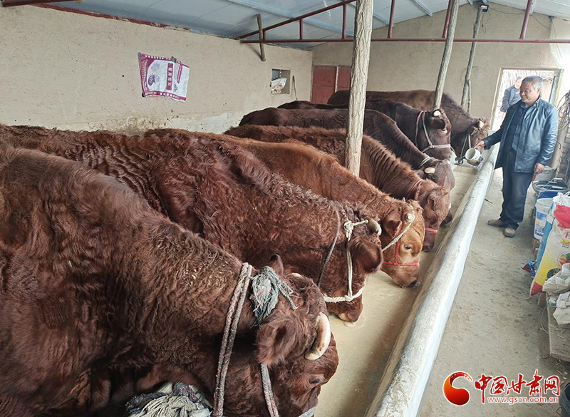 平?jīng)鰶艽ǎ骸芭！碑a(chǎn)業(yè)鋪就致富路