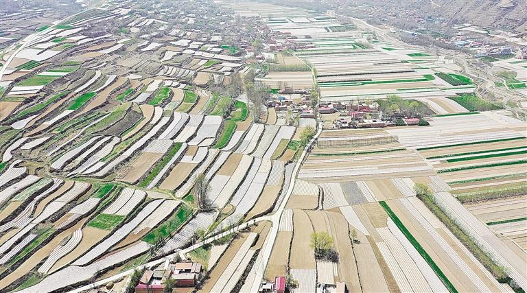 臨夏州康樂縣因地制宜引導農(nóng)民大力發(fā)展以全膜雙壟溝播技術(shù)為主的旱作農(nóng)業(yè)