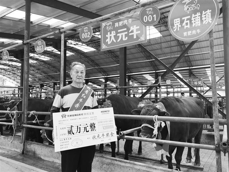 120頭“平?jīng)黾t?！膘o寧爭(zhēng)霸