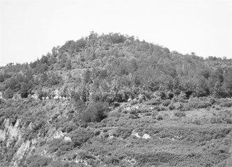 歷史眼丨張果老是正寧人？他與甘肅福緣不淺