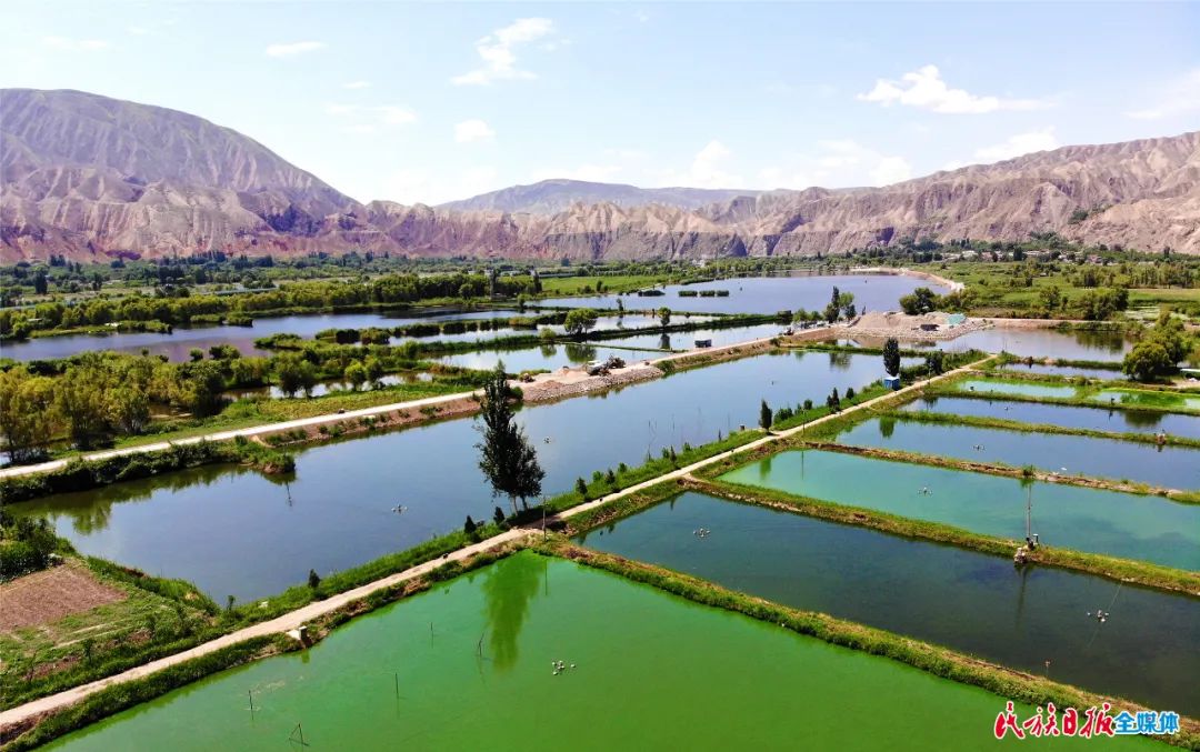 一秒入畫！太極島濕地風(fēng)光秀麗