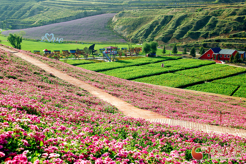 “如意甘肅鄉(xiāng)約打卡”網(wǎng)絡(luò)主題宣傳活動走進榆中李家莊田園綜合體