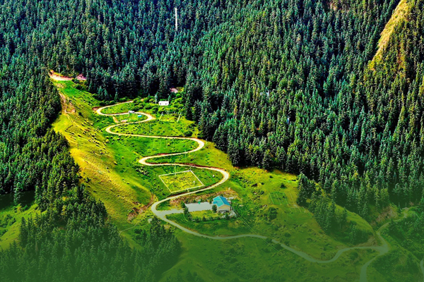 海報|祁連山保護(hù)區(qū)生態(tài)環(huán)境問題整改全面完成！