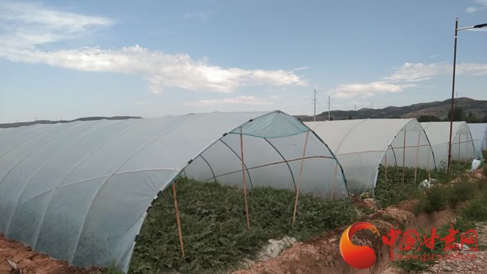 【蘭大新聞學子重走西北角】平涼花所鎮(zhèn)：“流動的”西瓜大棚圓了“小康夢”