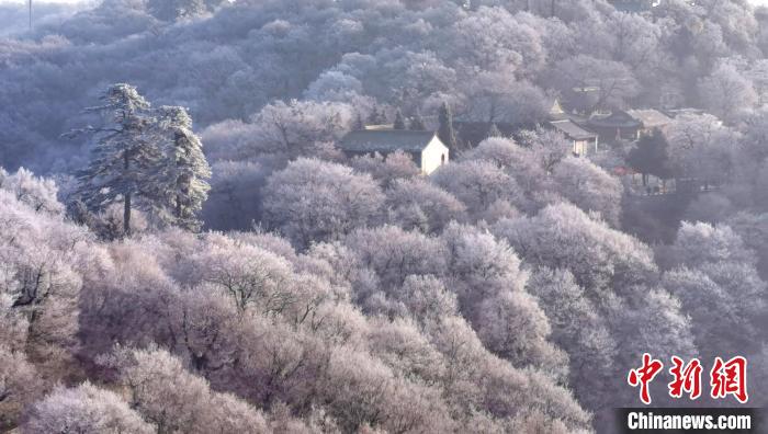 圖為霧凇美景。　徐振華 攝