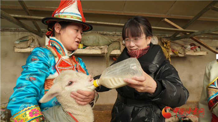 【履職盡責(zé)喜迎全國兩會(huì)】全國政協(xié)委員賀穎春：走訪牧民聽民意  建言資政為基層