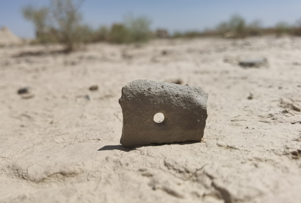 插圖1：河西走廊上遺存的古陶片。攝影：陳曉斌。拍攝日期：2020年6月。