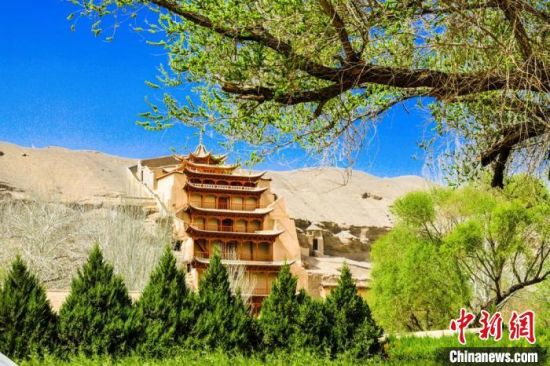 4月的敦煌莫高窟景區(qū)春意盎然。(資料圖) 王斌銀 攝
