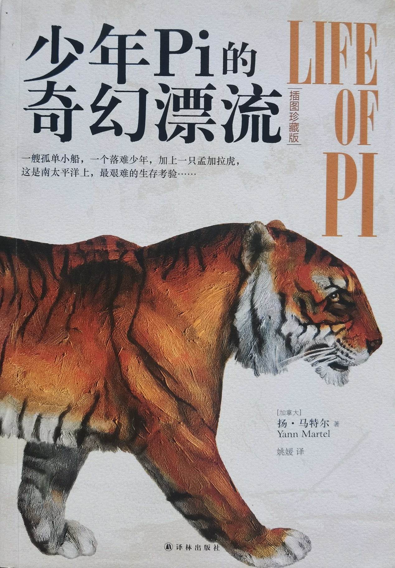 插圖1：揚(yáng)？馬特爾的小說《少年pi的奇幻漂流》封面
