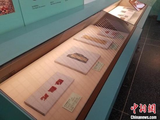 圖為展覽現(xiàn)場(chǎng)?！《鼗脱芯吭汗﹫D