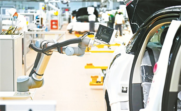 1656287088742703.jpg 33.jpg