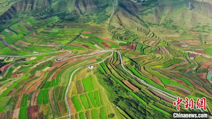 秋日里，榆中縣馬坡鄉(xiāng)千畝梯田，不同農(nóng)作物漸趨成熟，呈現(xiàn)出多種色彩，宛若大地的“調(diào)色盤(pán)”?！圆?攝