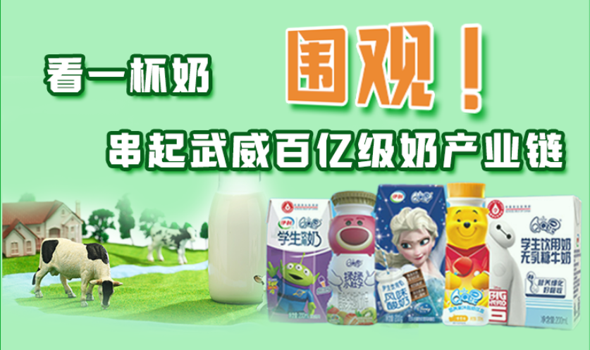圖解|圍觀！看一杯奶串起武威百億級奶產(chǎn)業(yè)鏈