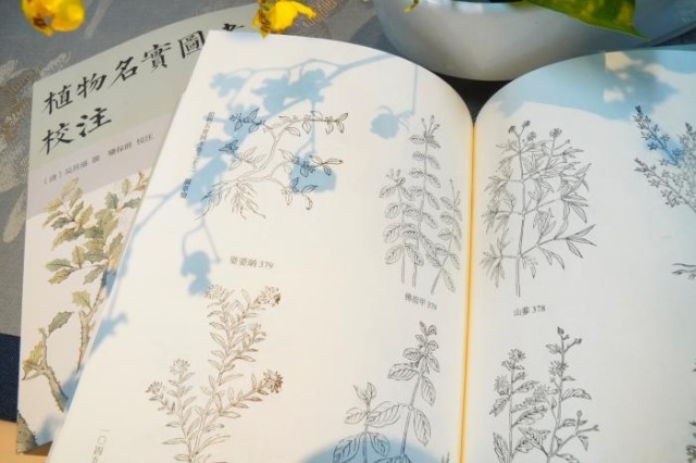 《植物名實圖考校注》內(nèi)頁。圖片來源：中華書局供圖