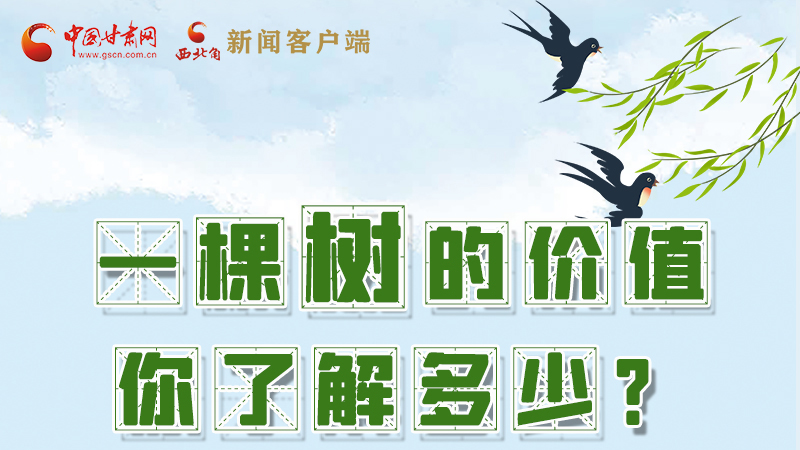 圖解|一棵樹的價(jià)值你了解多少?來看！