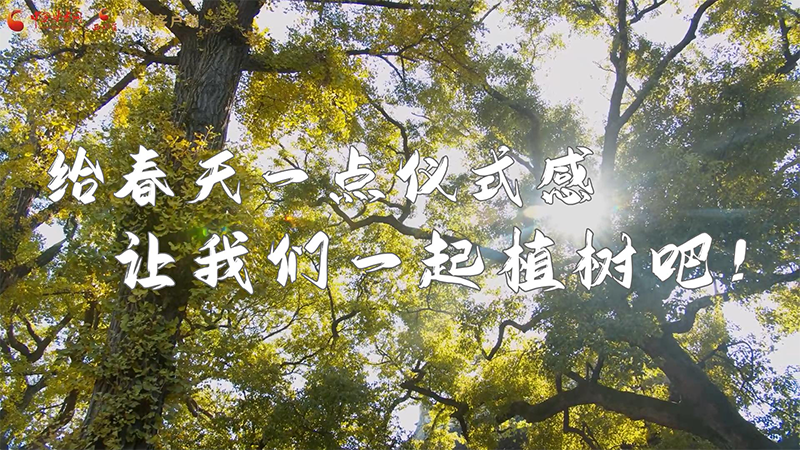 短視頻|給春天一點儀式感，讓我們一起植樹吧！