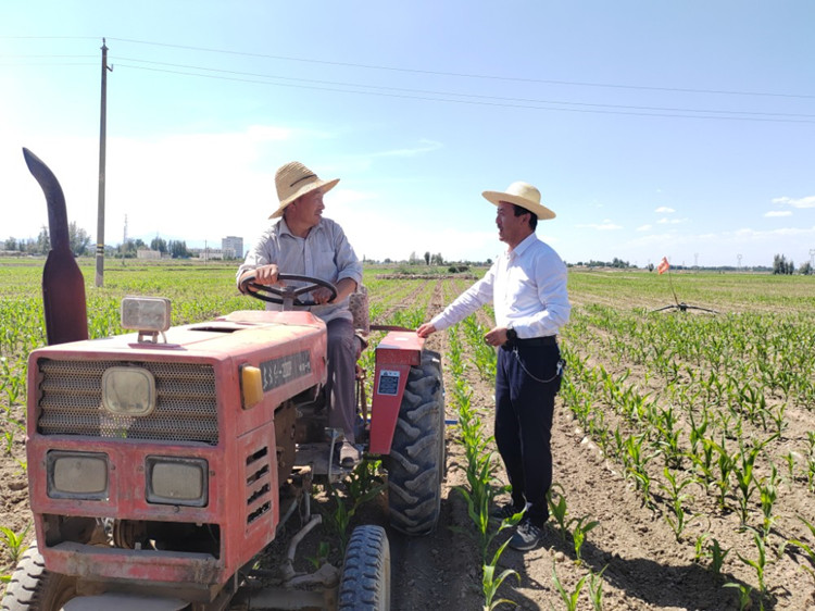 甘州區(qū)明永鎮(zhèn)紀(jì)委工作人員與正在田間作業(yè)的農(nóng)民群眾了解相關(guān)惠農(nóng)政策落實情況。.jpg