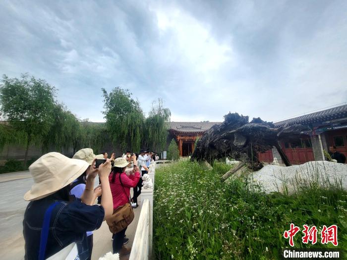 圖為媒體記者在青海永錄民俗參觀采訪?！⊙Φ?攝