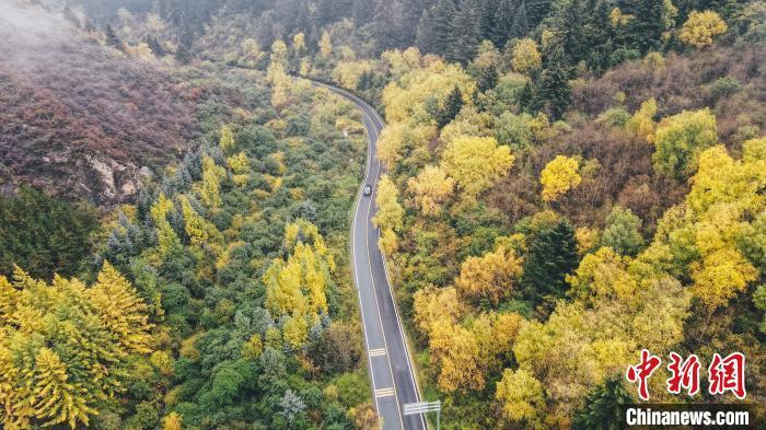 深秋，航拍位于蘭州市榆中縣的興隆山，景色如畫。金峯 攝</p>
<p>