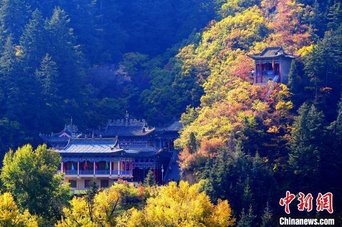 深秋，位于蘭州市榆中縣的興隆山景色如畫。宮衛(wèi)紅 攝