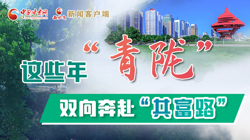 【江河奔流·青隴協(xié)作譜新篇】這些年，“青隴”雙向奔赴“共富路”